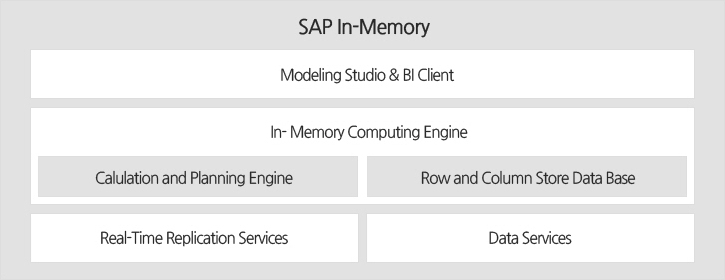 SAP In-Memory